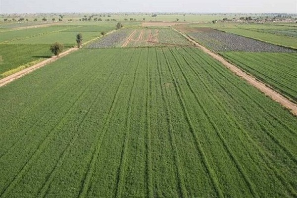 صیانت از اراضی کشاورزی در گرو همکاری دستگاهها / طرحهای فاقد مجوز محیط زیست متوقف میشوند