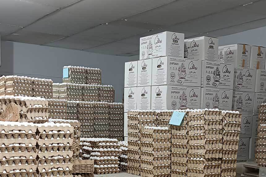 کشف ۸۰۰ تن تخم&zwnj;مرغ احتکارشده در رامیان / پلمب سردخانه متخلف