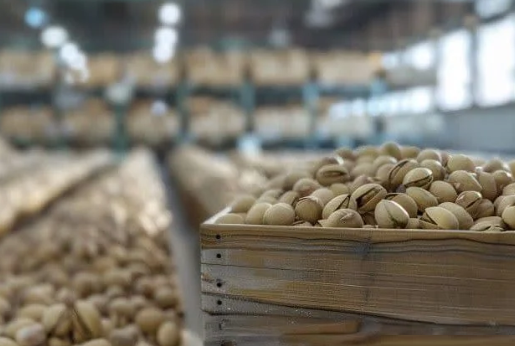 واکنش صفر دولت به انتقال محصول استراتژیک کشور