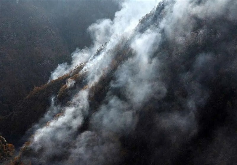 ورود به جنگل&zwnj;های هیرکانی، زاگرس و ارسباران تا بارش مؤثر ممنوع شد